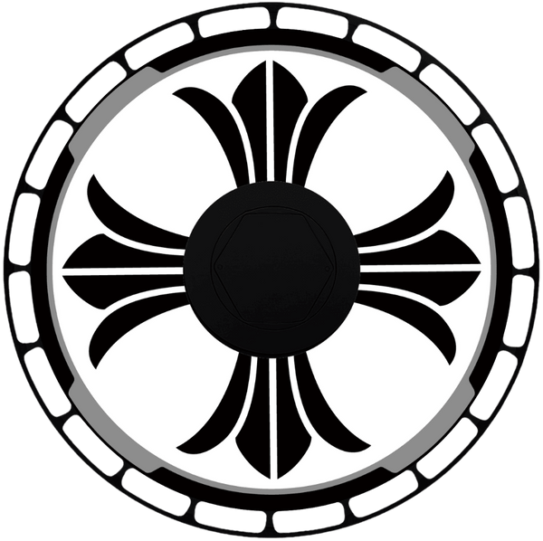 Aerodisc wheel design 1