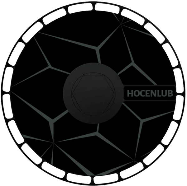 Aerodisc wheel design 24