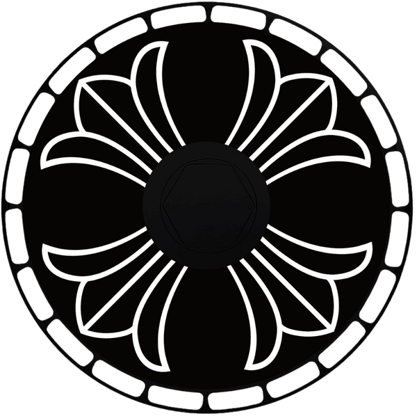 Aerodisc wheel design 8